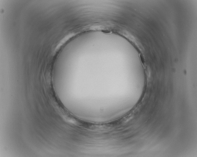 X0000071380297200607212219