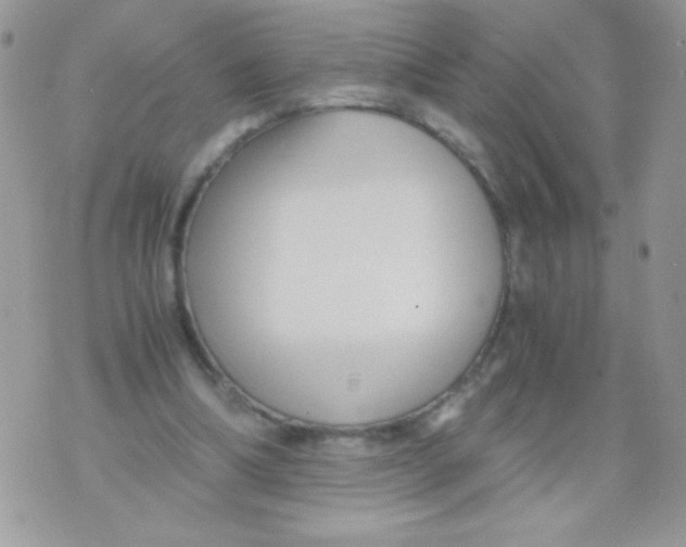 X0000071380298200607212219