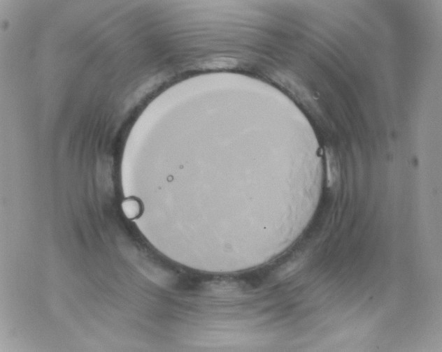 X0000071380300200607212219