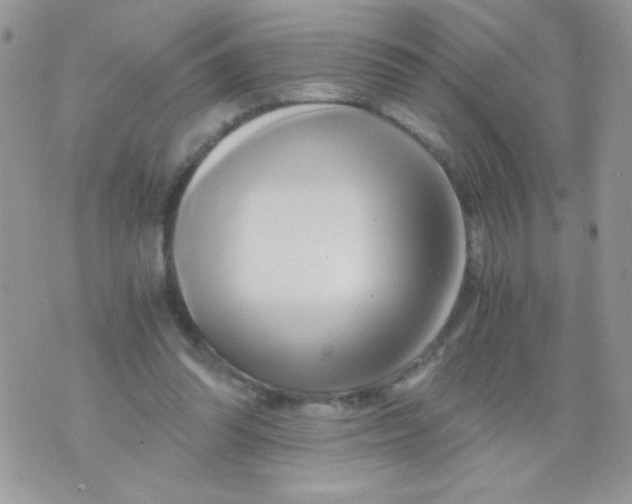 X0000071380302200607212219