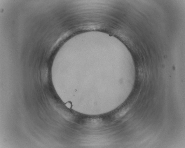 X0000071380304200607212219