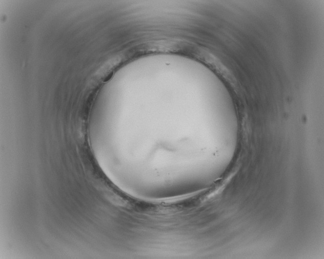 X0000071380305200607212219