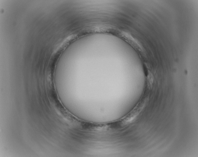 X0000071380306200607212219