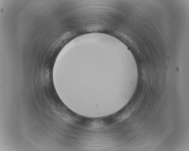 X0000071380308200607212219