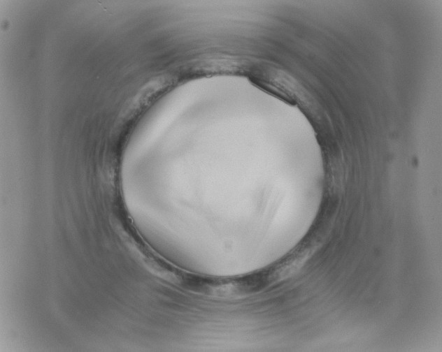 X0000071380309200607212219