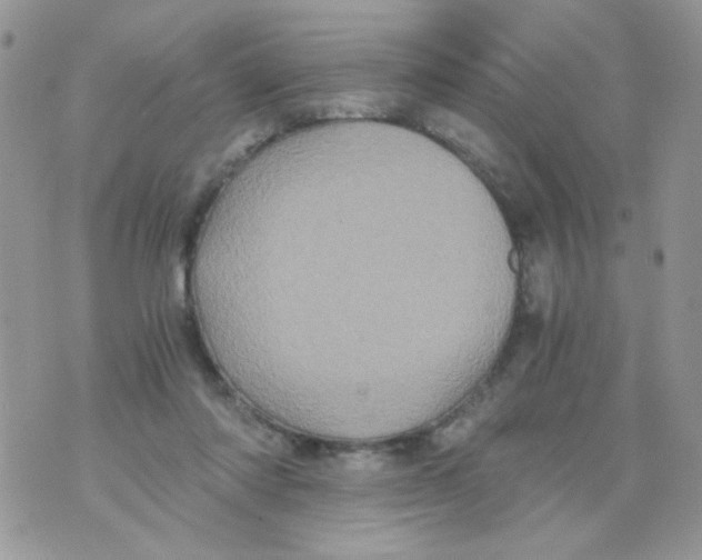 X0000071380310200607212219