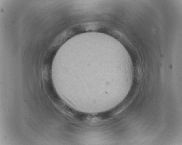 X0000071380311200607212219