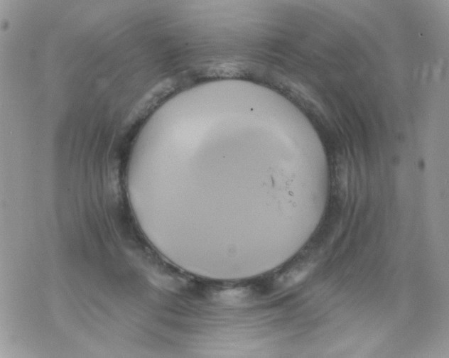 X0000071380312200607212219