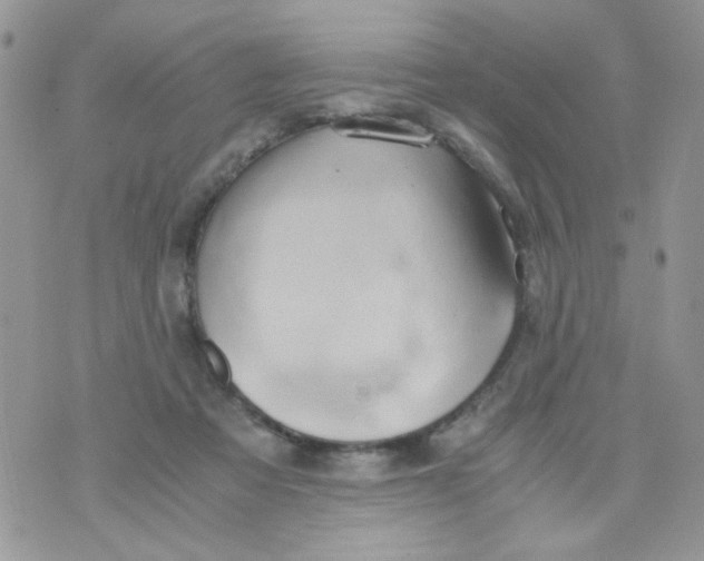 X0000071380313200607212219