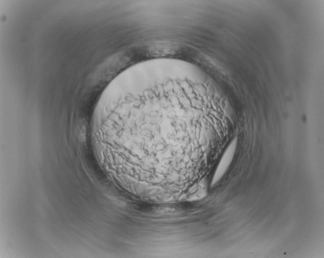 X0000071380315200607212219