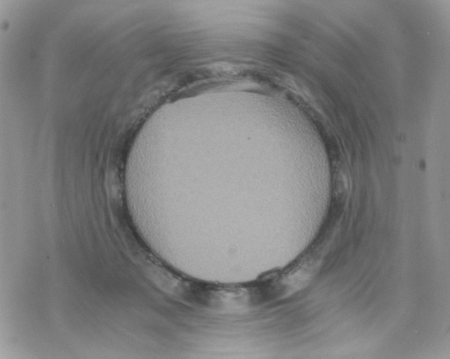 X0000071380317200607212219