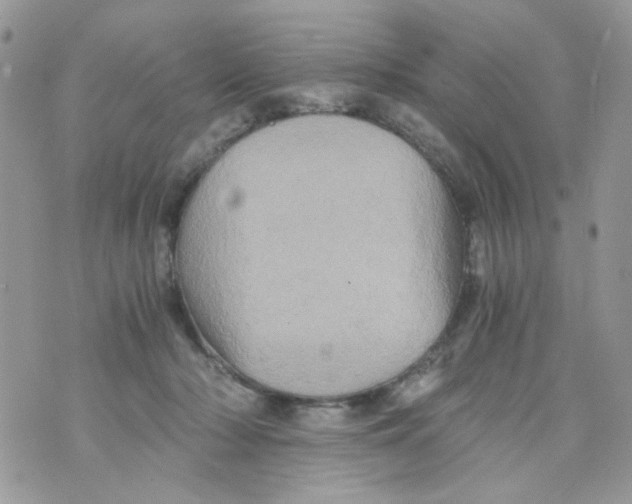 X0000071380318200607212219