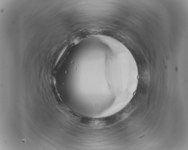 X0000071380319200607212219