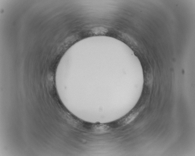 X0000071380321200607212219