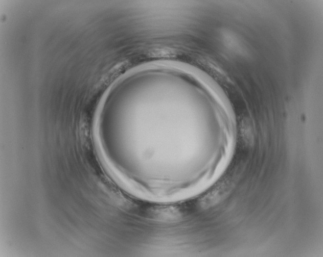 X0000071380322200607212219