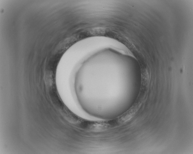 X0000071380323200607212219