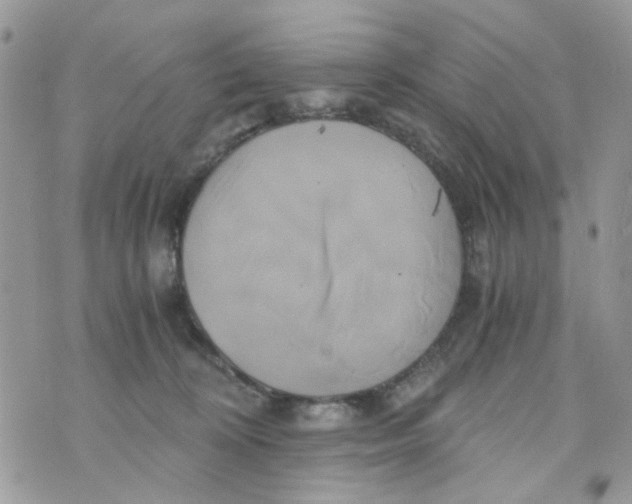 X0000071380324200607212219