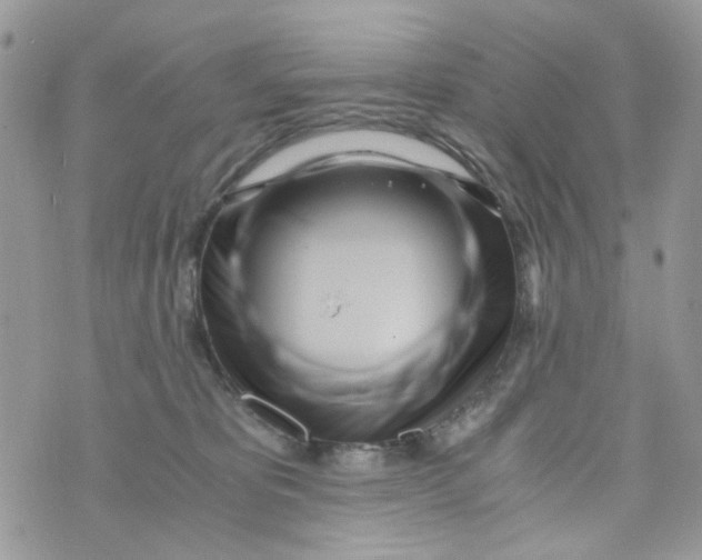 X0000071380325200607212219