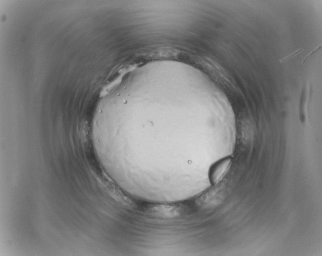 X0000071380326200607212219