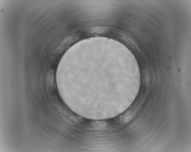 X0000071380328200607212219