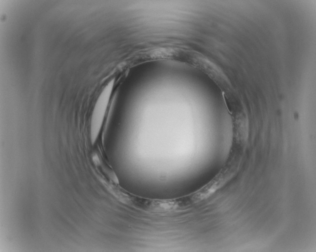 X0000071380329200607212219