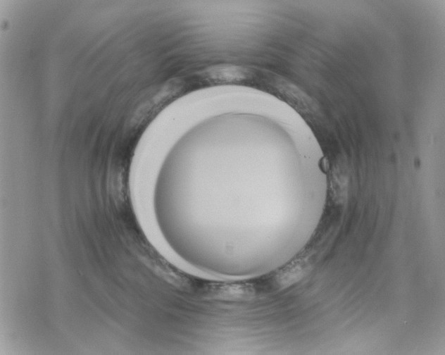 X0000071380330200607212219