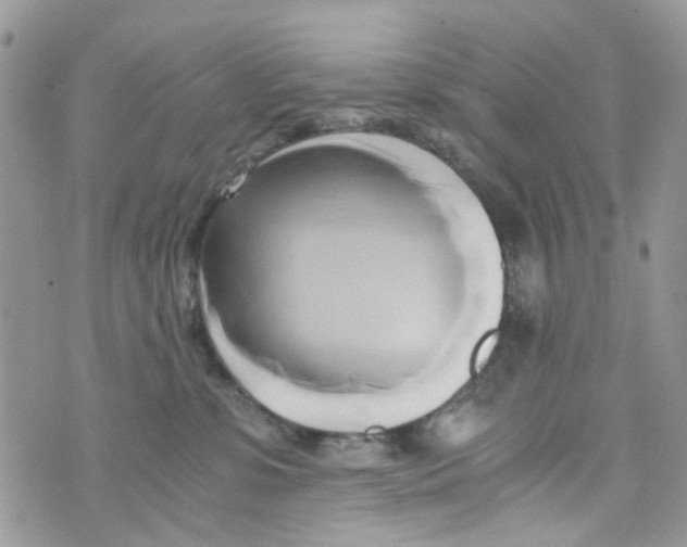 X0000071380331200607212219