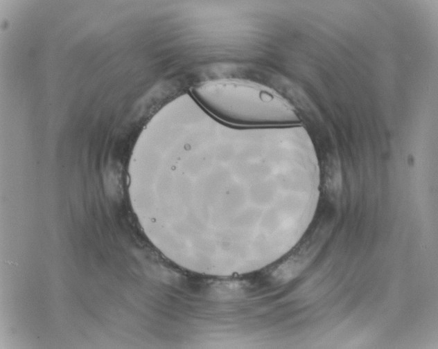 X0000071380332200607212219