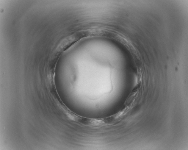 X0000071380333200607212219