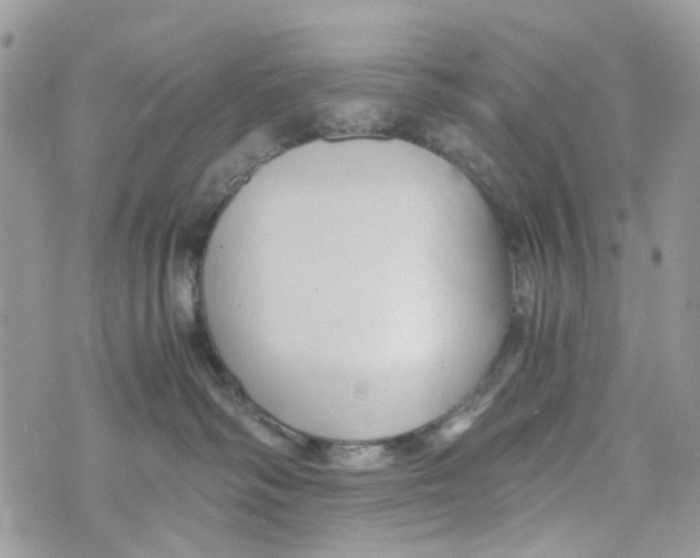 X0000071380334200607212219