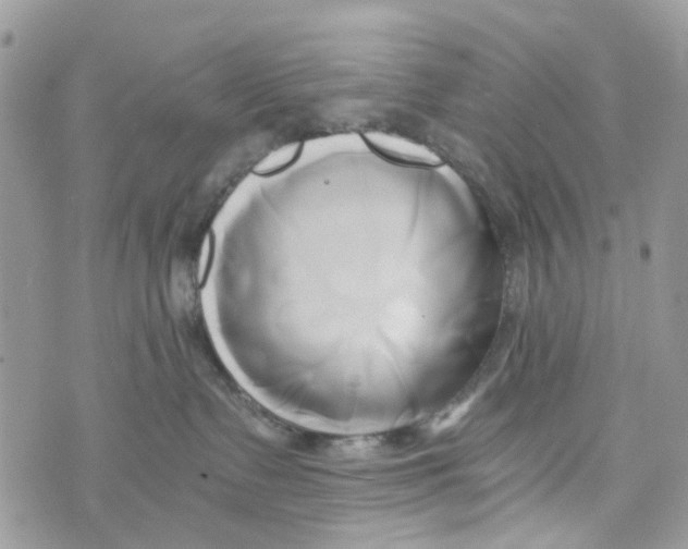 X0000071380335200607212219