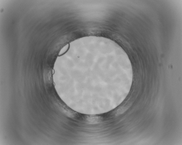 X0000071380336200607212219