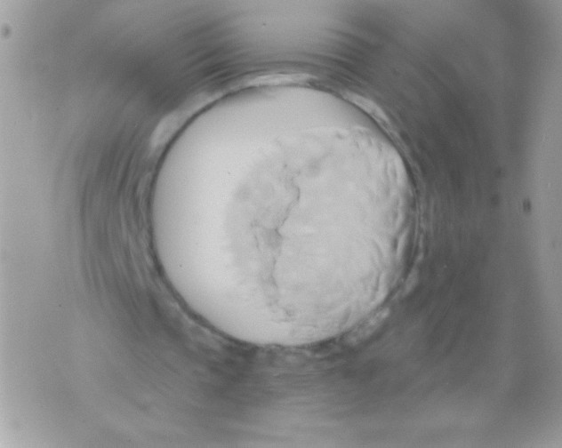 X0000071380337200607212218