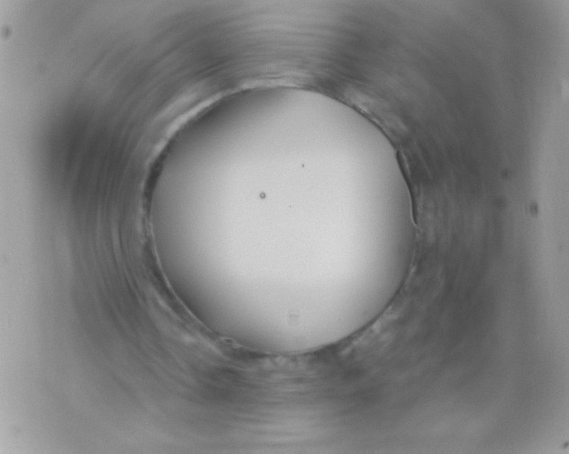 X0000071380338200607212218