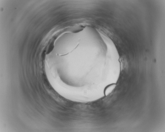 X0000071380339200607212218