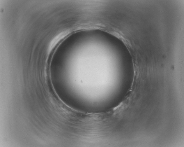 X0000071380340200607212218