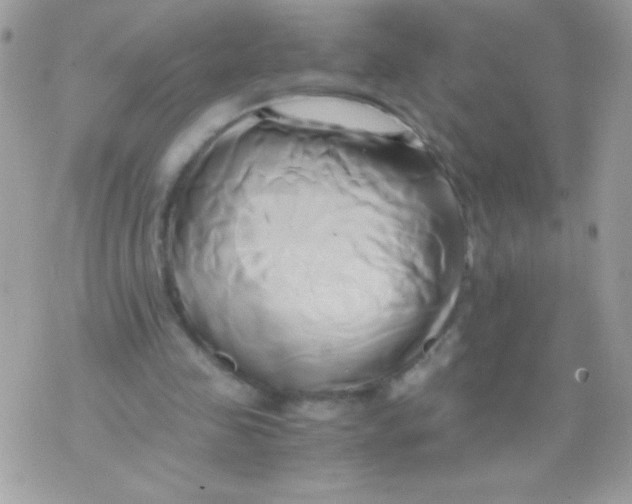 X0000071380341200607212218