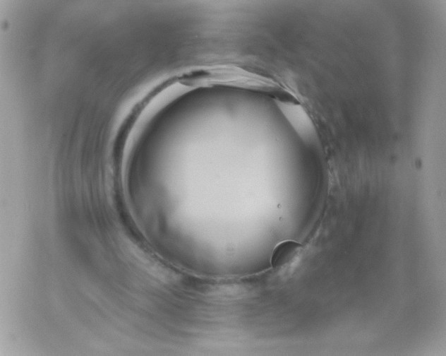 X0000071380342200607212218