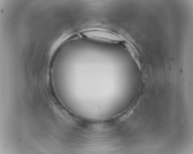 X0000071380344200607212218