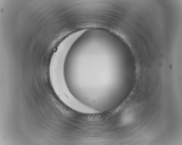 X0000071380345200607212218