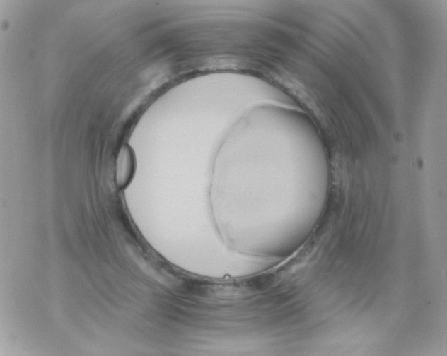 X0000071380347200607212218