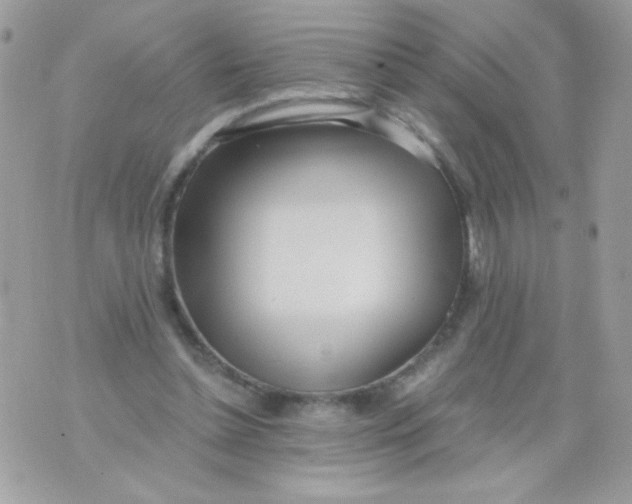 X0000071380348200607212218