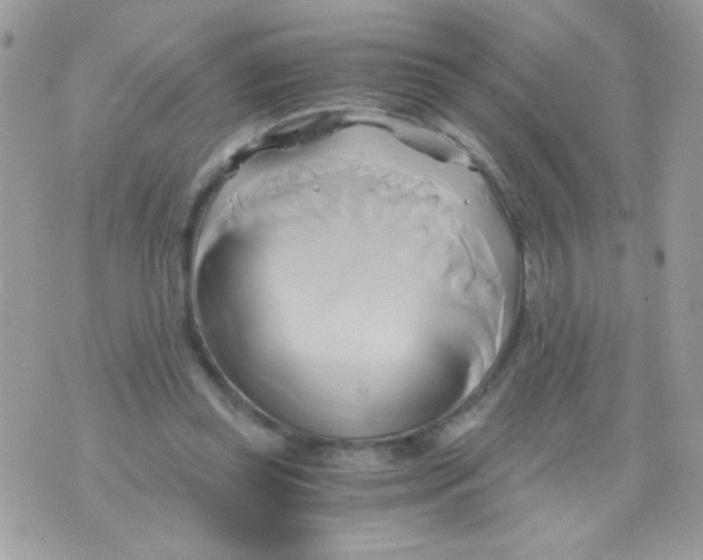 X0000071380349200607212218