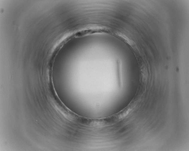 X0000071380350200607212218