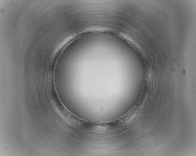 X0000071380352200607212218