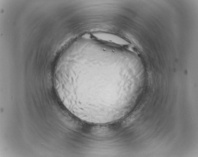 X0000071380354200607212218