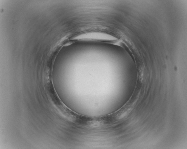 X0000071380356200607212218