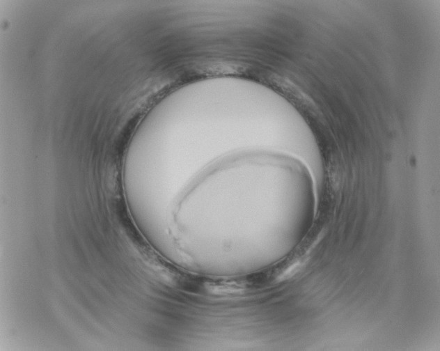 X0000071380359200607212218