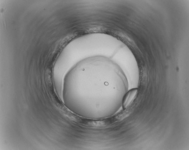 X0000071380361200607212218