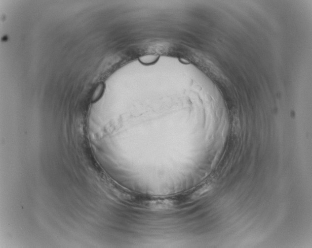 X0000071380363200607212218